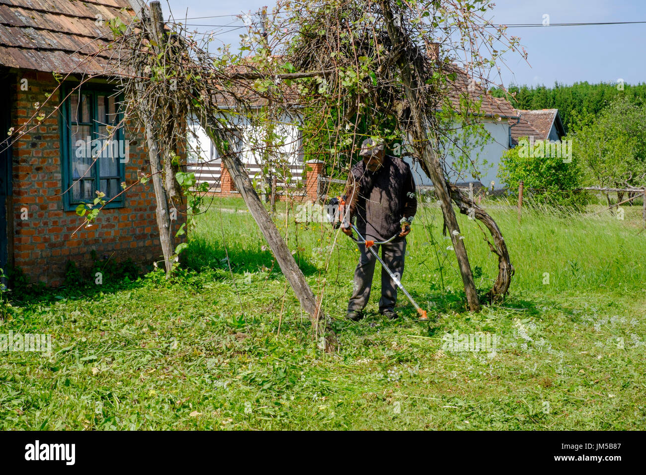 local man using a strimmer to cut long grass in the garden of a rural house in a village in zala county hungary Stock Photo