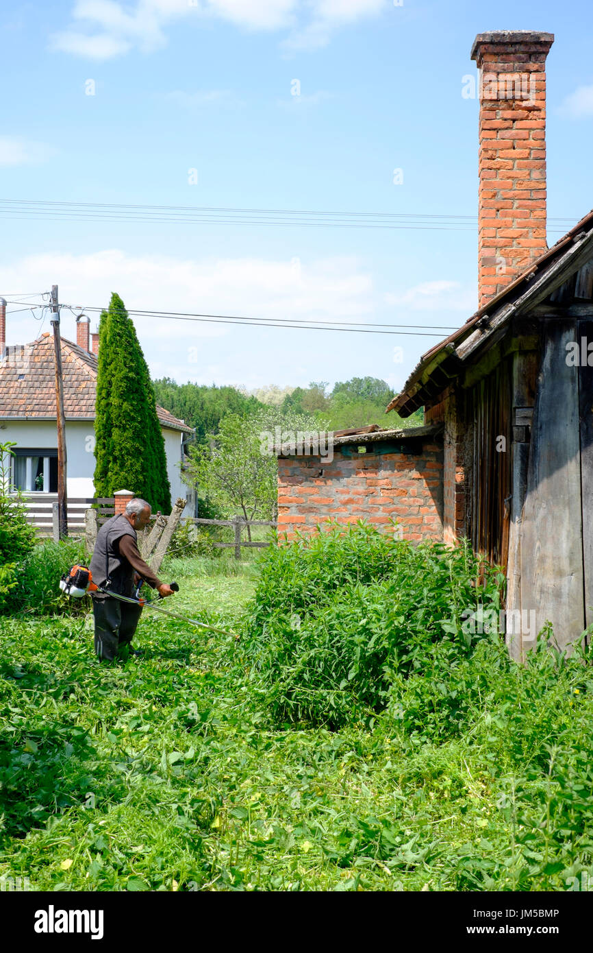 local man using a strimmer to cut long grass in the garden of a rural house in a village in zala county hungary Stock Photo