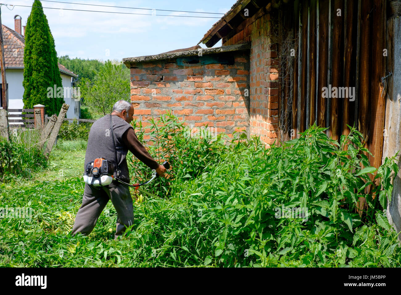 local man using a strimmer to cut long grass in the garden of a rural house in a village in zala county hungary Stock Photo