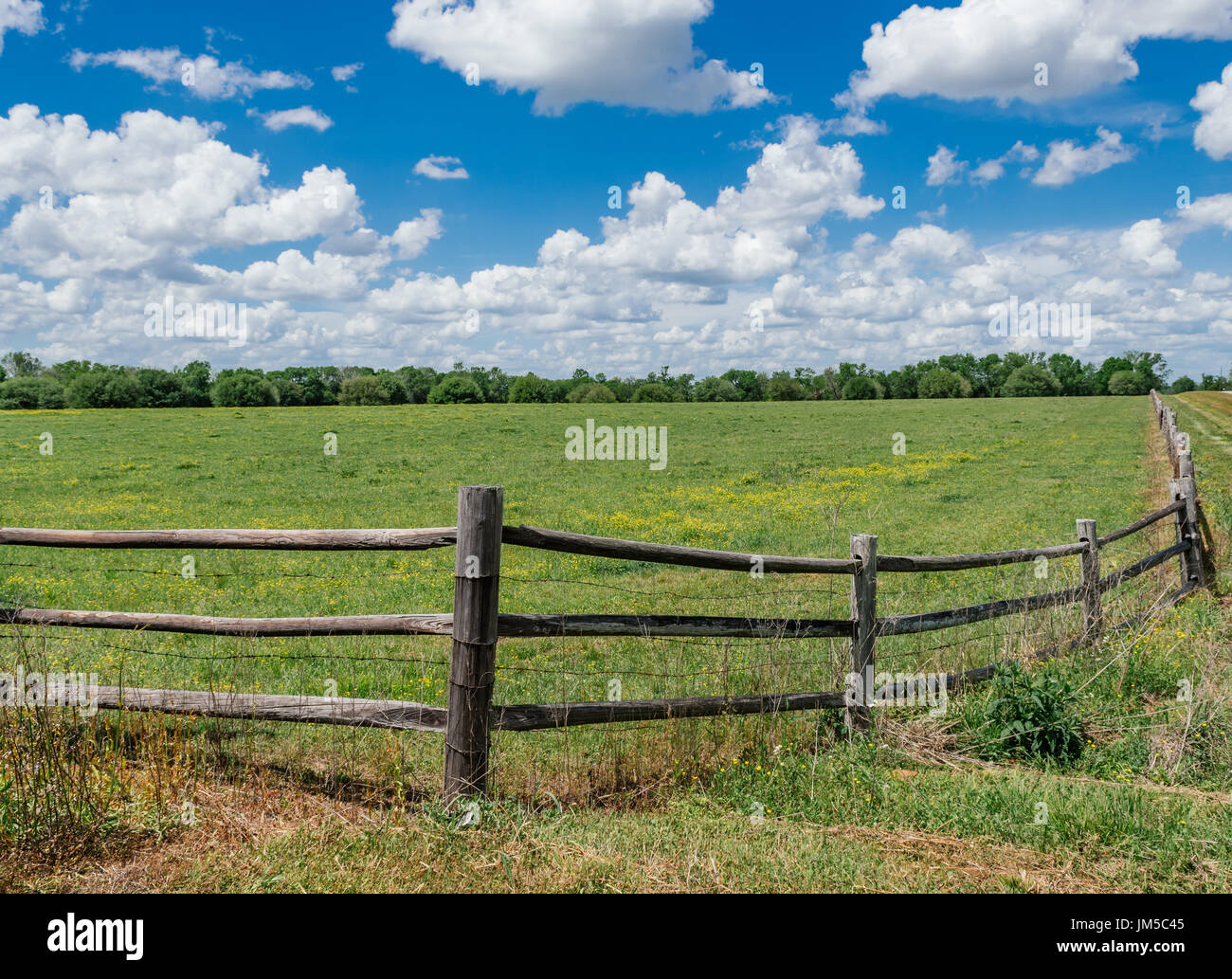 Green fenced in pasture land in central Alabama, during the summer growing season.  Split rail fencing is a common site in the southern USA. Stock Photo
