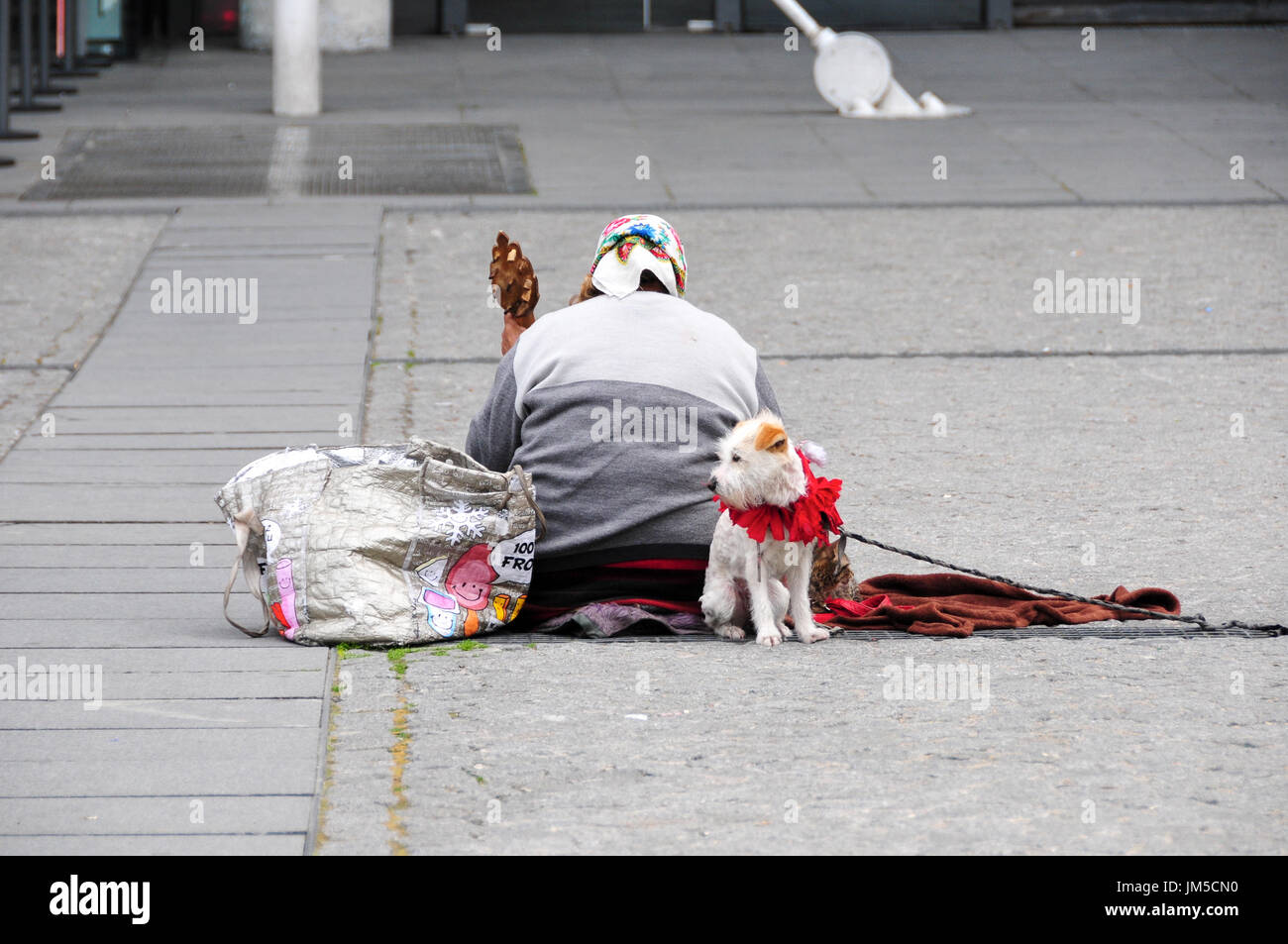 Old lady with dog hi-res stock photography and images - Alamy