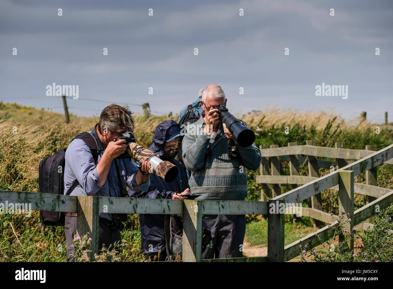Two men with cameras using long lenses, bird watching bird watchers at a viewpoint on Bempton Cliffs RSPB Reserve, UK. A women is on her cellphone mob. Stock Photo
