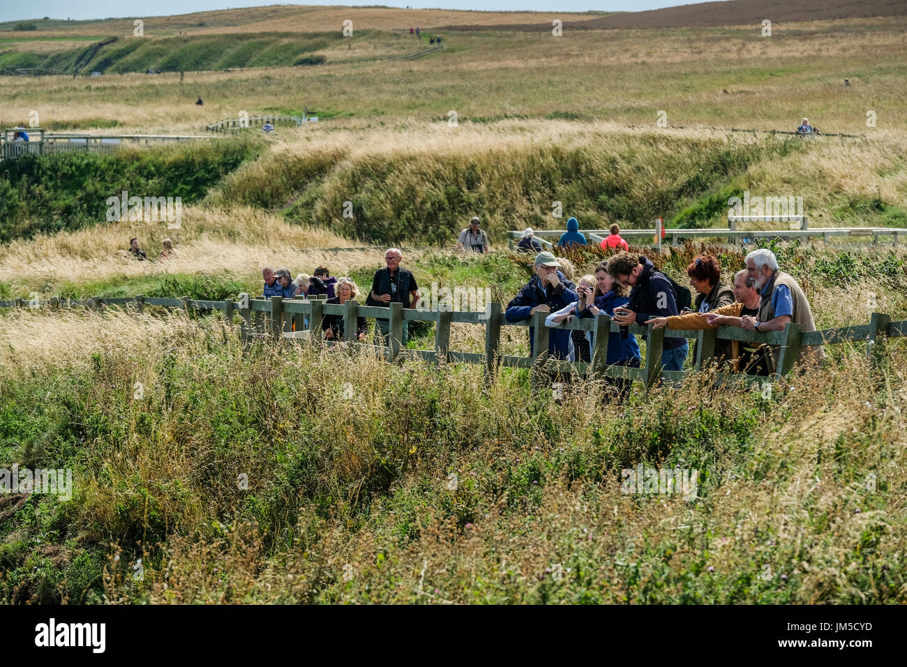 A group of people men and women males and females male and female bird watching at a viewpoint on the Bempton Cliffs RSPB Reserve, UK on a bright, sun. Stock Photo