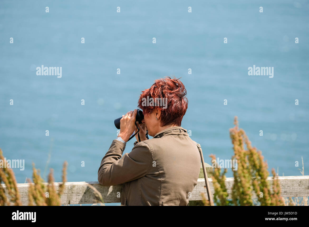 A woman female bird watching with binoculars at a viewpoint on Bempton Cliffs RSPB Reserve, UK. Stock Photo