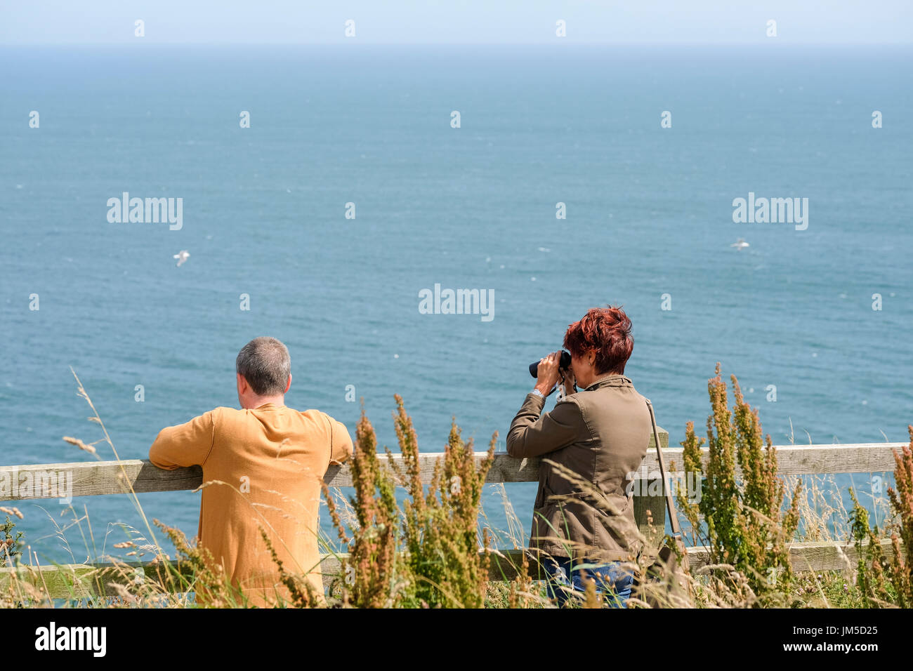 Woman female with binoculars bird watching at a viewpoint at Bempton Cliffs RSPB Reserve, UK. A male companion man is at her side. Stock Photo