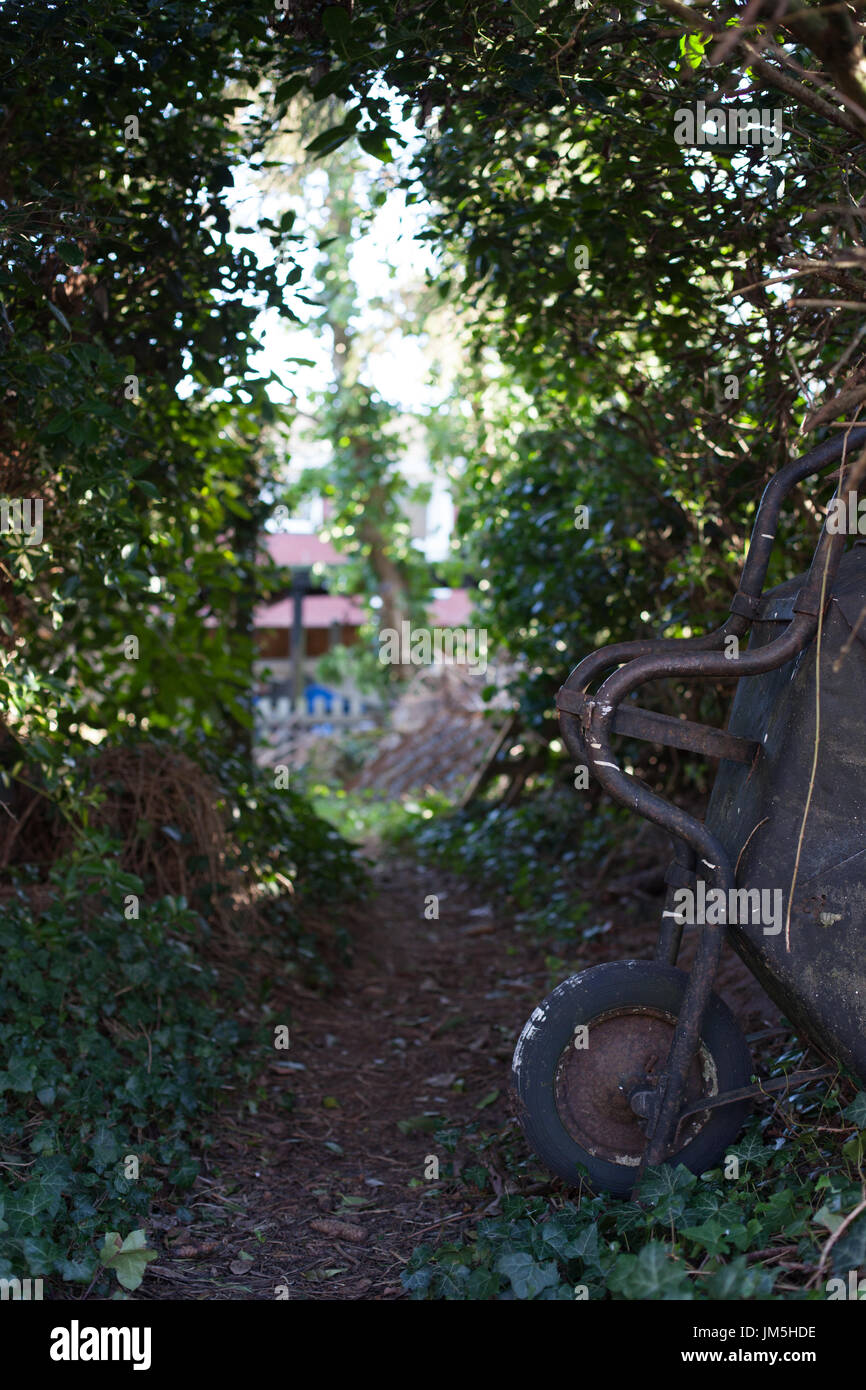 A messy overgrown garden with a wheelbarrow in the foreground Stock Photo