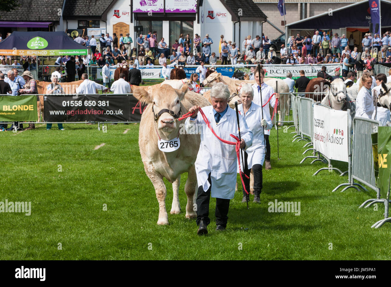 Royal Welsh Agricultural Show,held,annually,at, Royal Welsh Showground,Llanelwedd,Builth Wells,Powys,Wales,UK,U.K.,Europe, Stock Photo