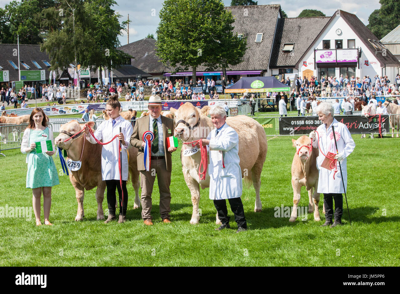 Royal Welsh Agricultural Show,held,annually,at, Royal Welsh Showground,Llanelwedd,Builth Wells,Powys,Wales,UK,U.K.,Europe, Stock Photo