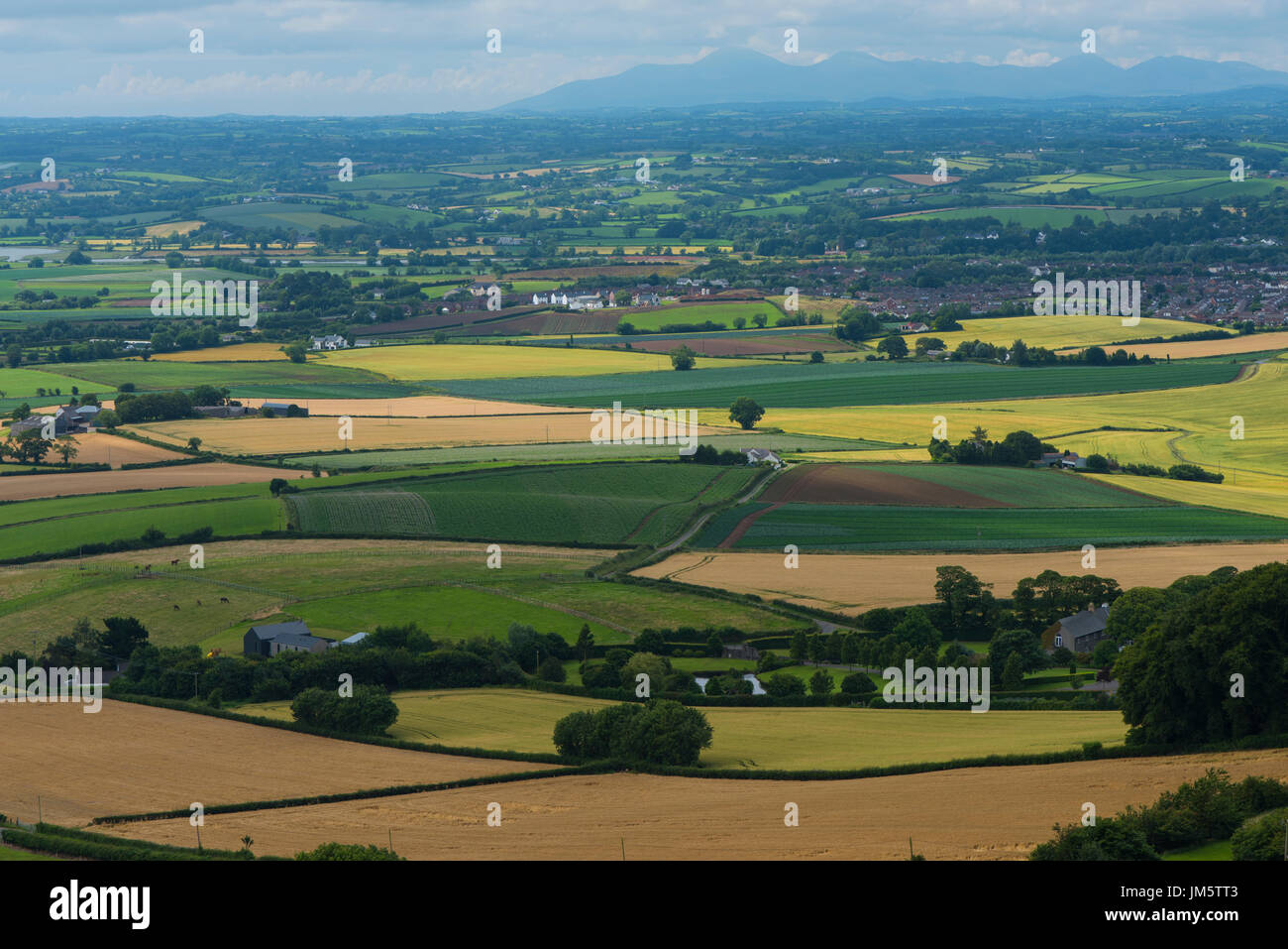 The rolling, green countryside of the Ards Peninsula as views from the top of Scrabo Tower, Newtownards in July 2017. Stock Photo