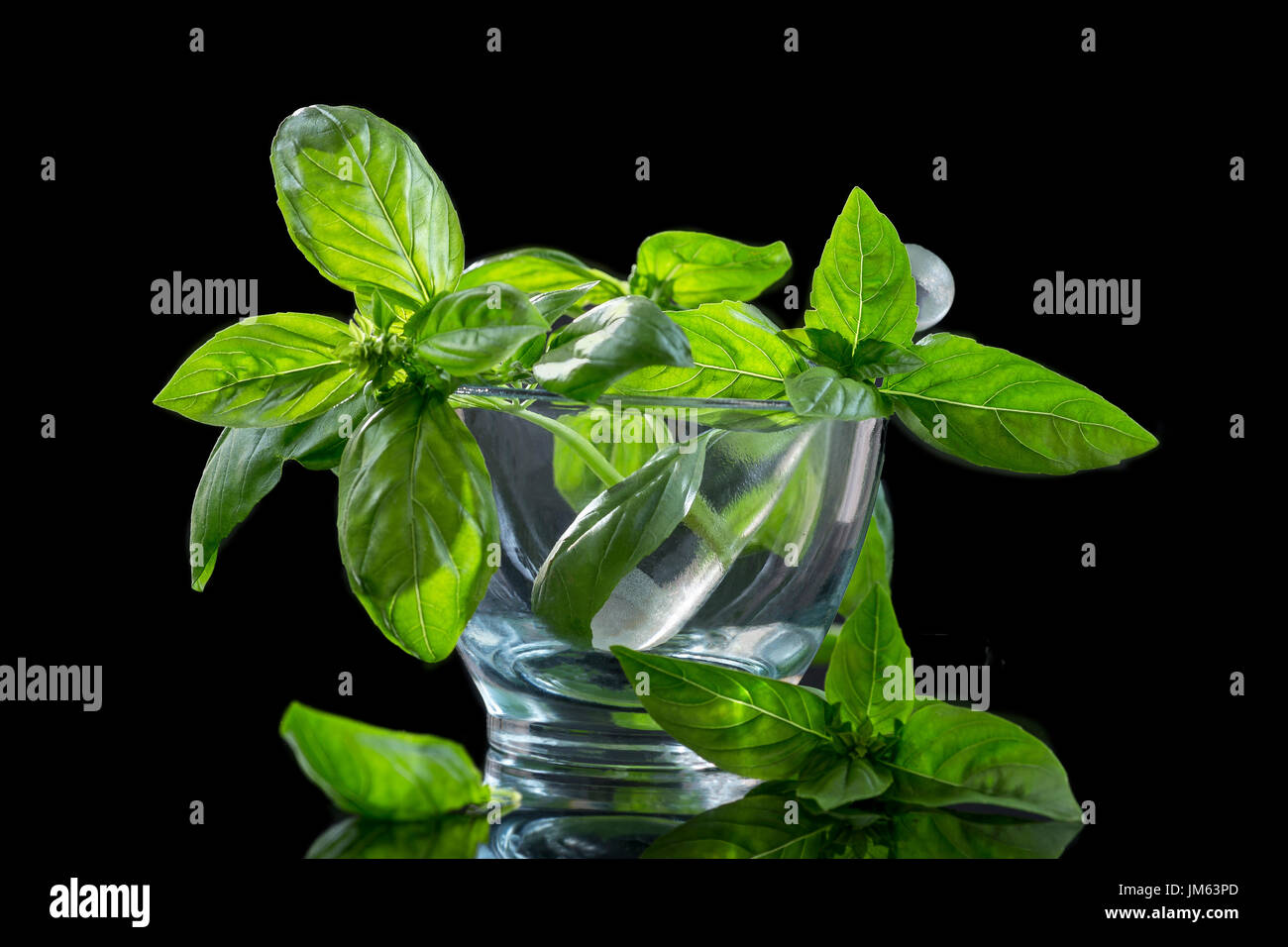 fresh basil in mortar with leaves on the ground isolated on black background Stock Photo