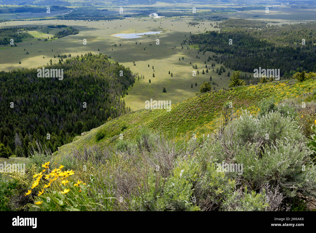 Snake River ,Cow lake and valley view from Jackson Lake Overlook, Grand Tetons National Park, Wyoming, USA Stock Photo