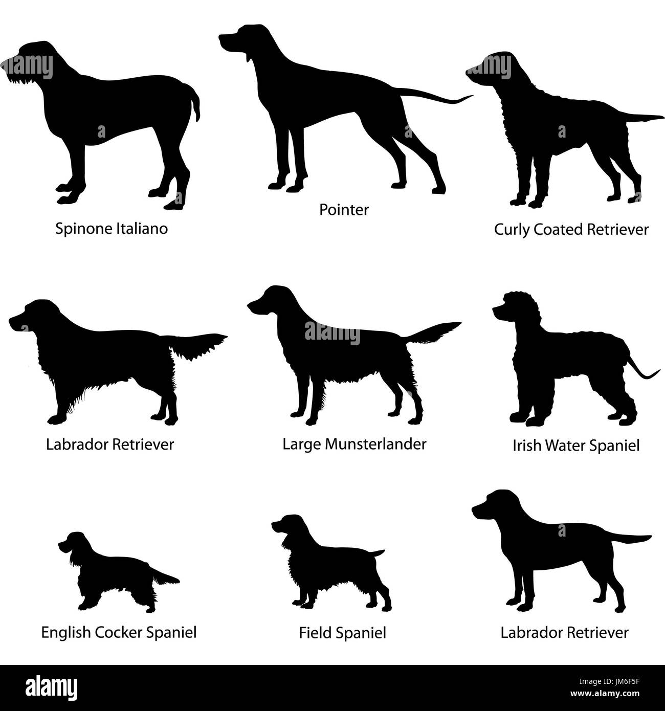 Dog icon set. Gun dogs vector illustration. Silhouette Collection of gundog. Stock Photo