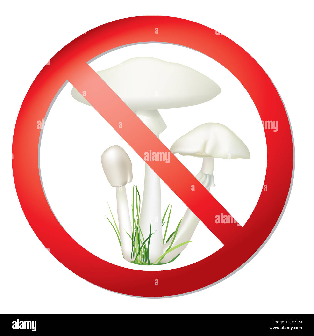 Toadstool isolated on white background. Death-cup mushroom vector illustration. Amanita phalloides. Stock Photo
