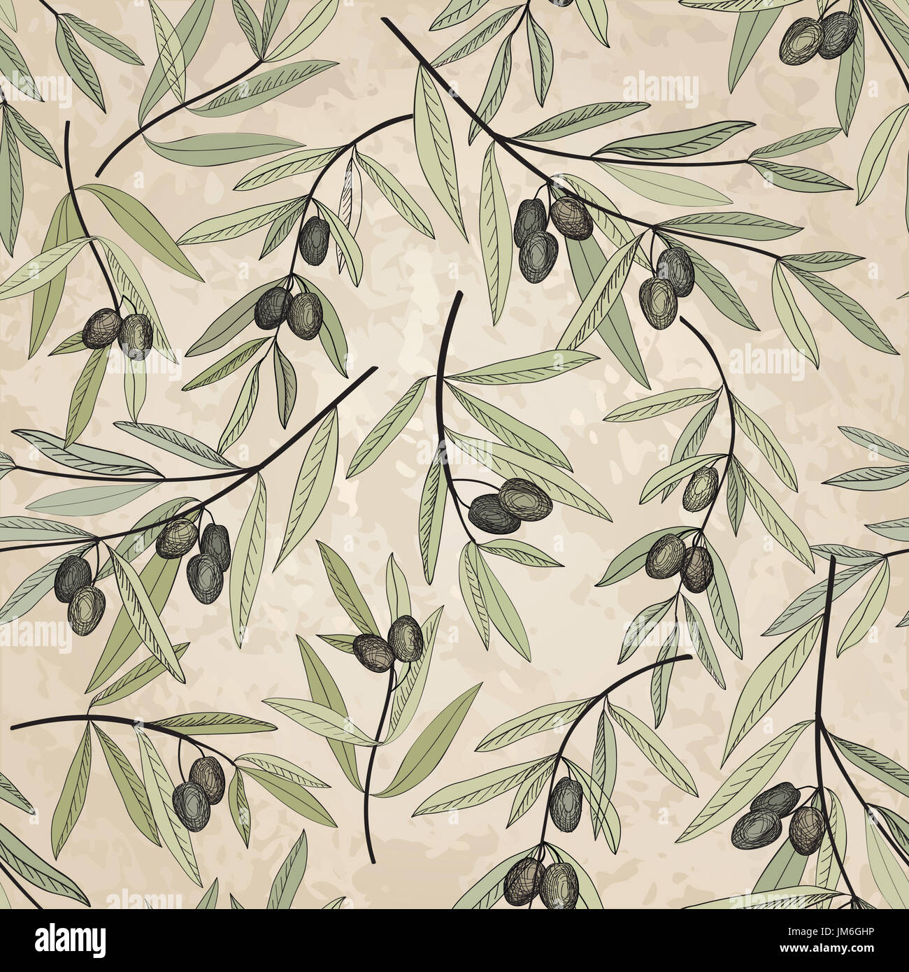 Vector frame olive branch hand hi-res stock photography and images - Alamy