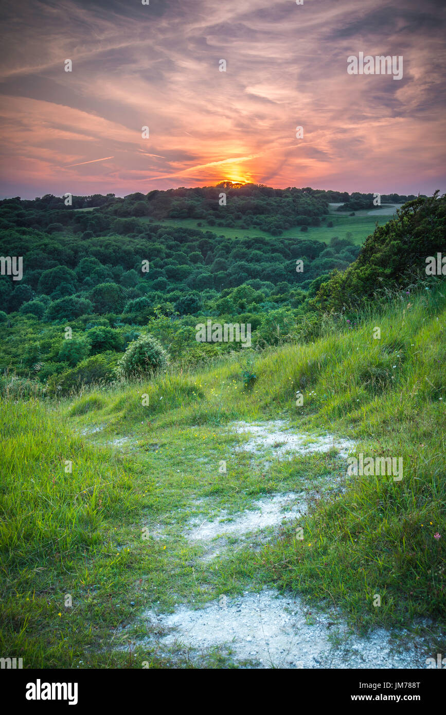 A colorful evening sunset over the hilltop. UK Stock Photo