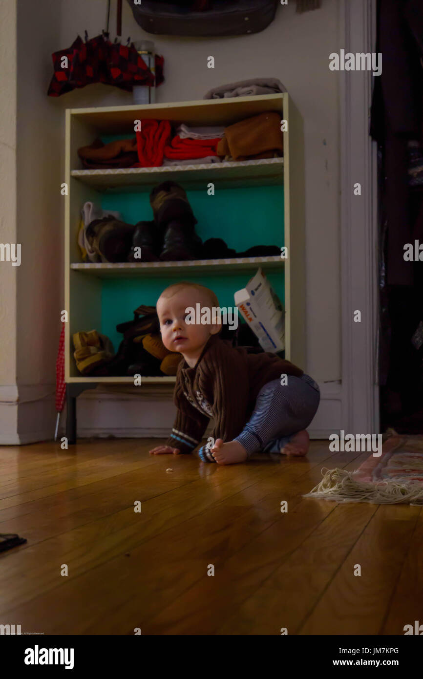 Baby crawling in hall Stock Photo