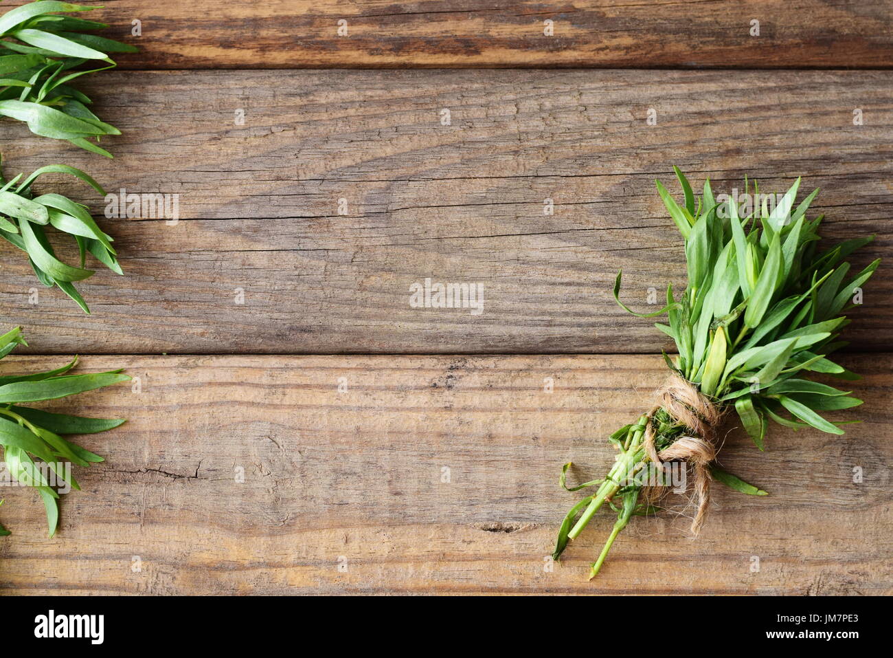 Bunch of fresh tarragon on a wooden background with a space for note Stock Photo