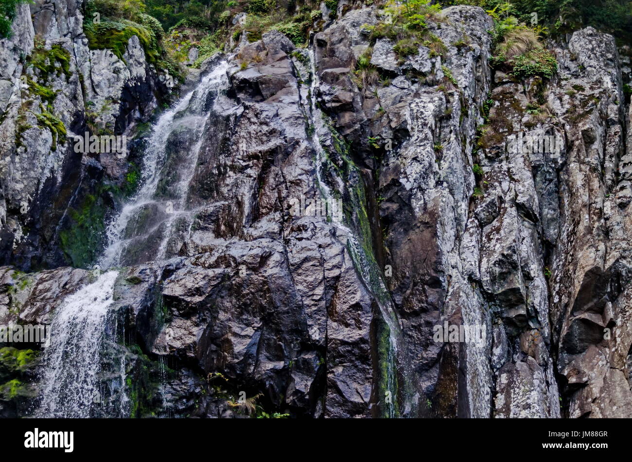 Upper part of fresh Boyana waterfalls in deep forest and rock, Vitosha, Bulgaria Stock Photo