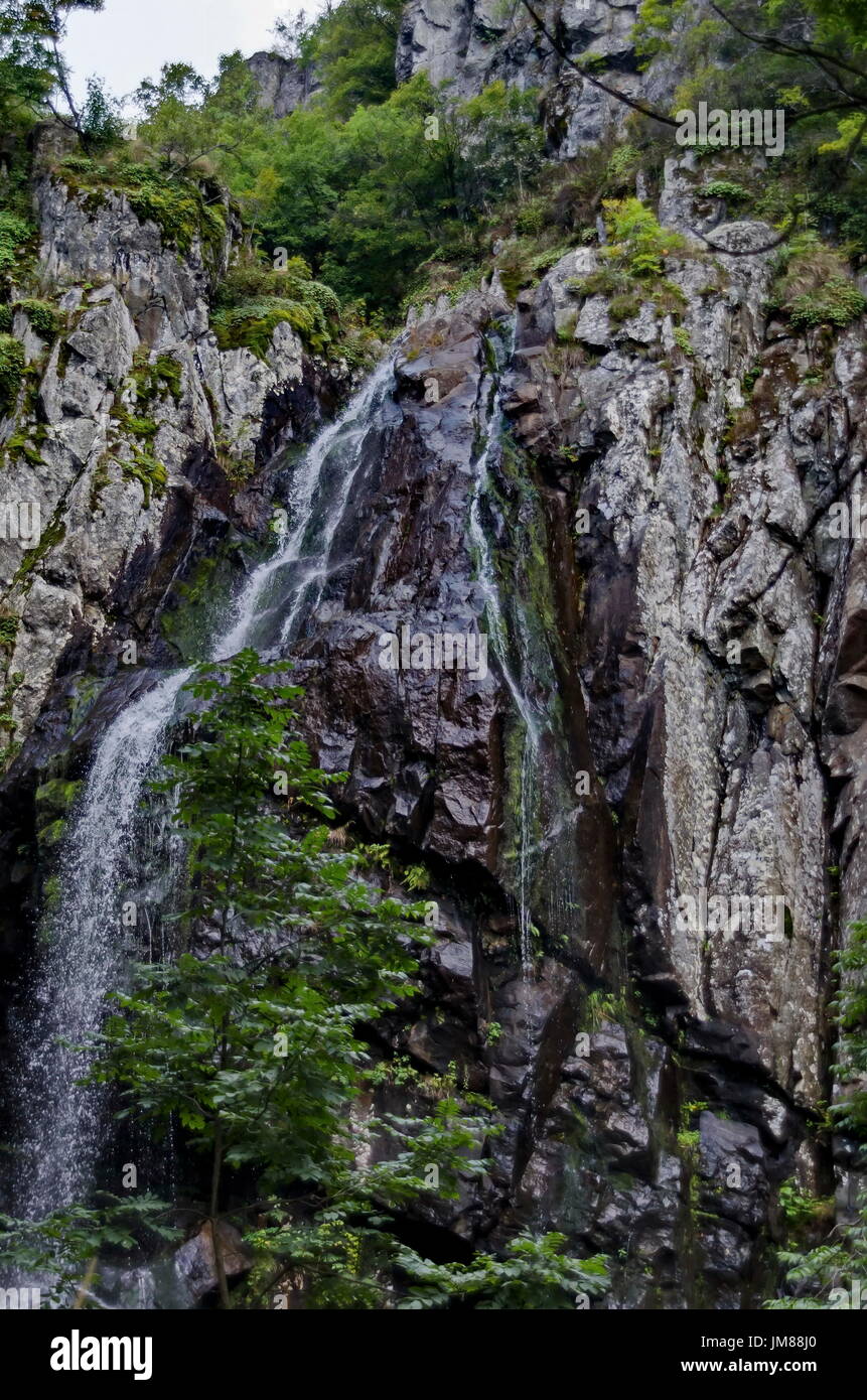 Upper and middle part of fresh Boyana waterfalls in deep forest and rock, Vitosha, Bulgaria Stock Photo