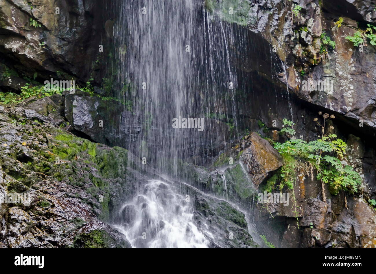 Under part of fresh Boyana waterfalls in deep forest and rock, Vitosha, Bulgaria Stock Photo