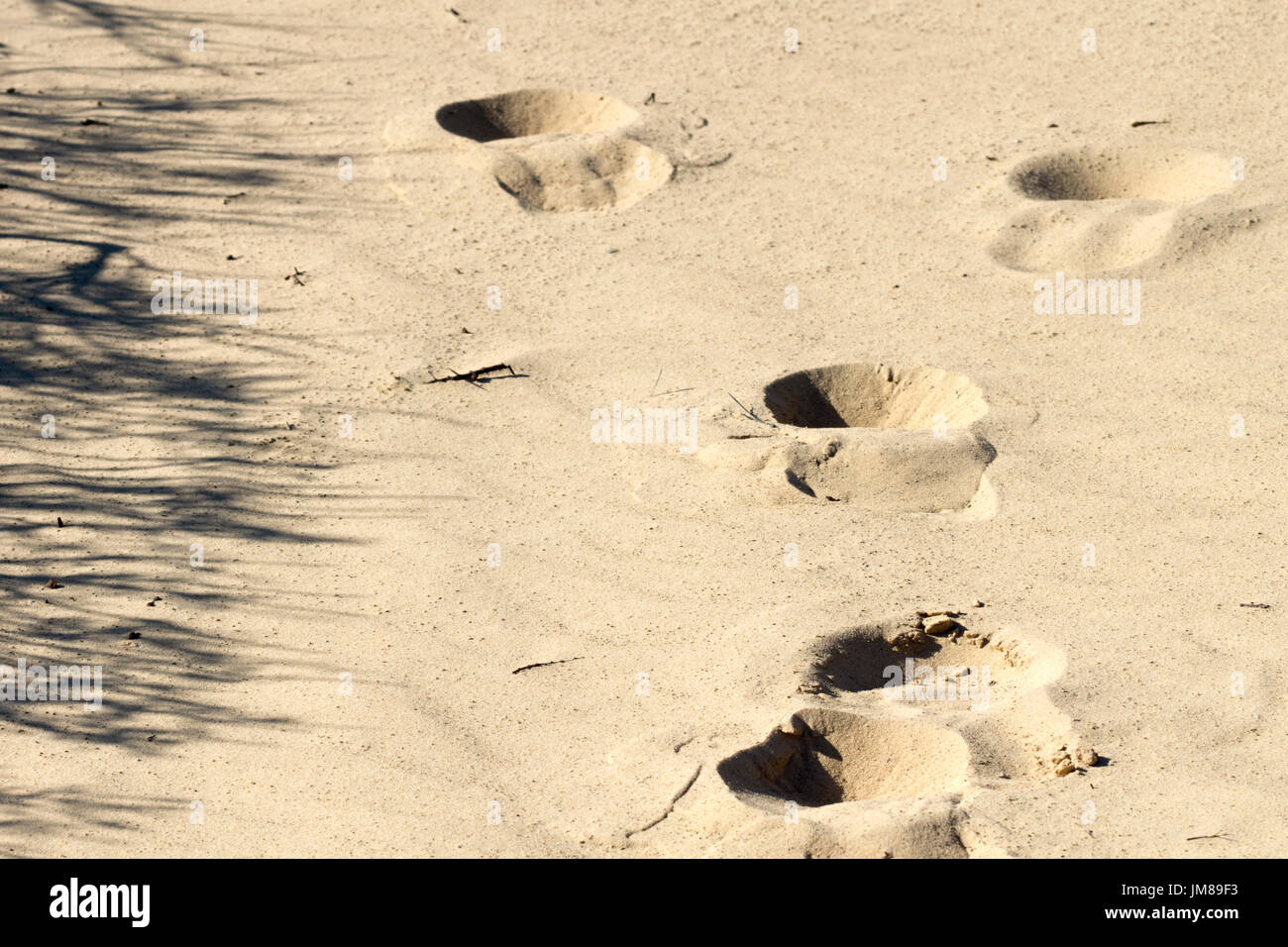 Footprints on yellow sand horizontal image Stock Photo