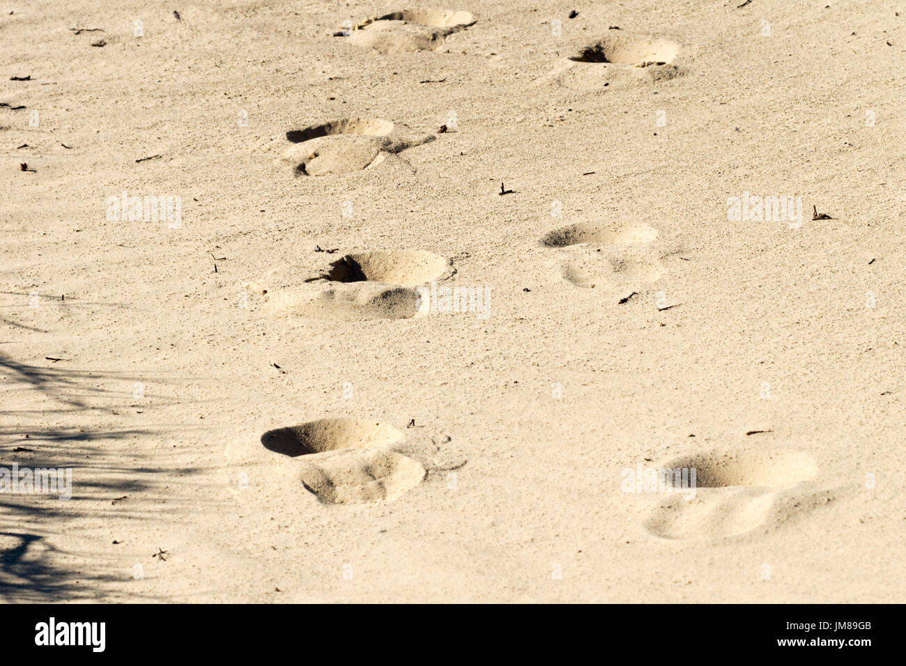 Footprints on yellow sand horizontal image Stock Photo