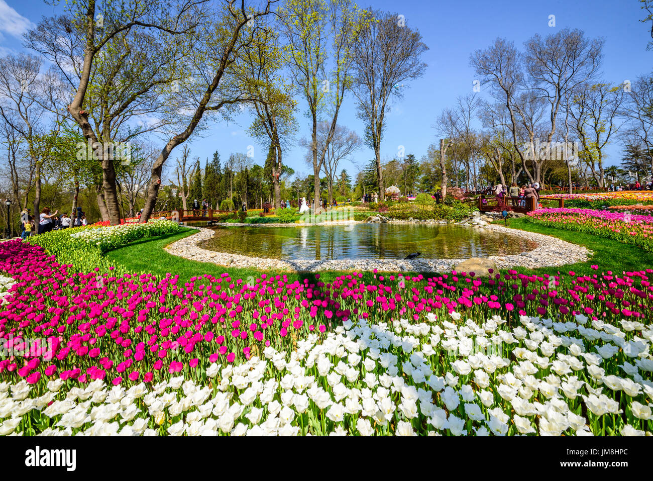 Traditional Tulip Festival In Emirgan Park, A Historical Urban Park ...