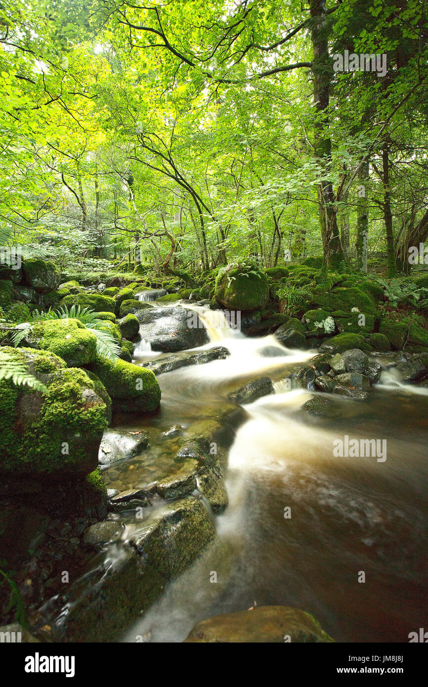 Watendlath Beck below Ashness Bridge, Cumbria, England Stock Photo