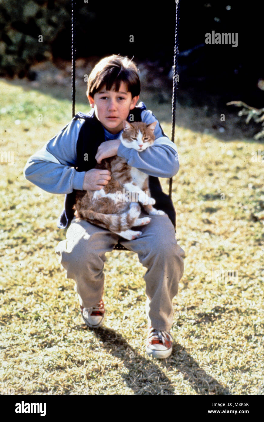 Joseph Gordon Levitt Gregory K 1993 Stock Photo Alamy
