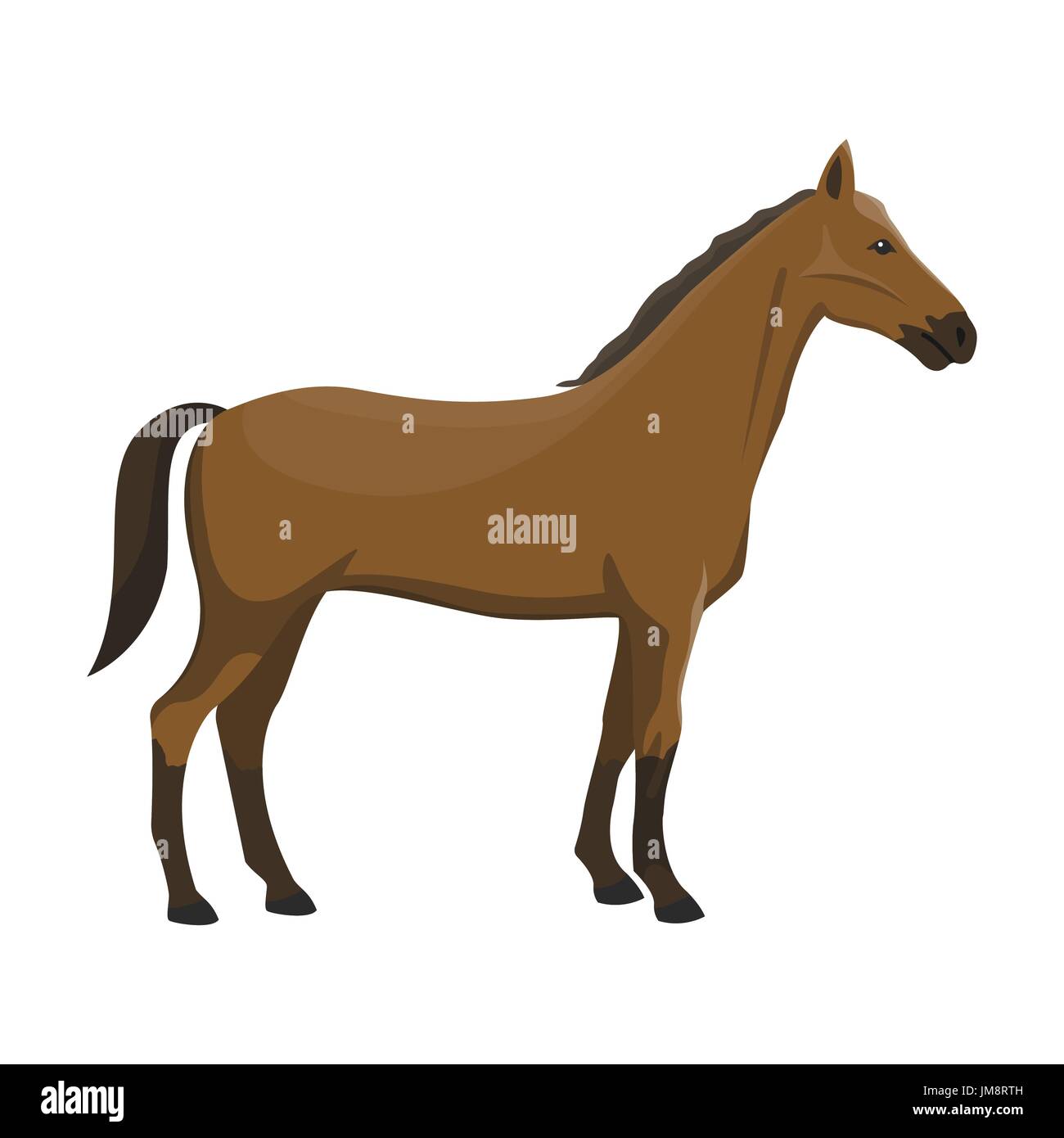 Vector illustration of a horse Stock Vector Image & Art - Alamy