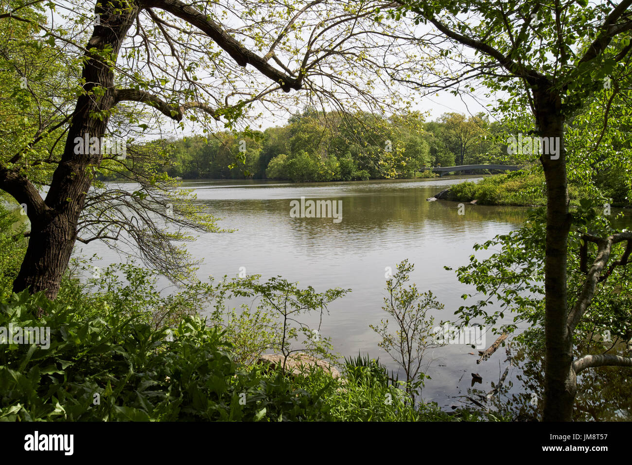 the lake central park New York City USA Stock Photo