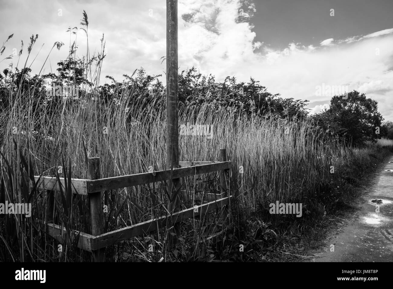 Yorkshire In mono  RasyBoswell Stock Photo