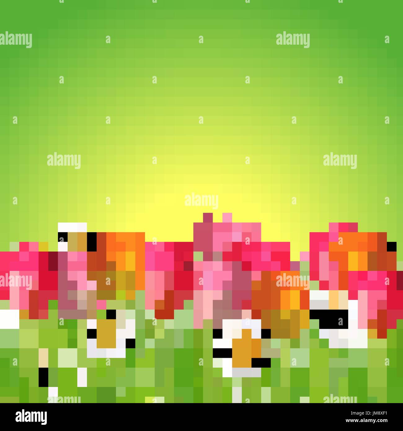 Tulip flowers isolated on white. 10 eps Stock Vector Image & Art - Alamy