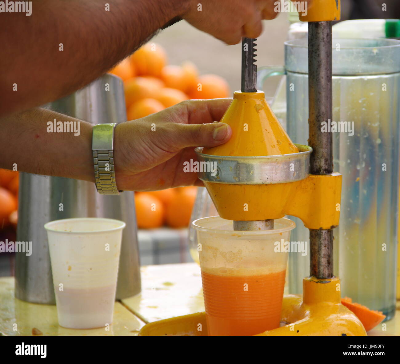 Citrus Stock Photo