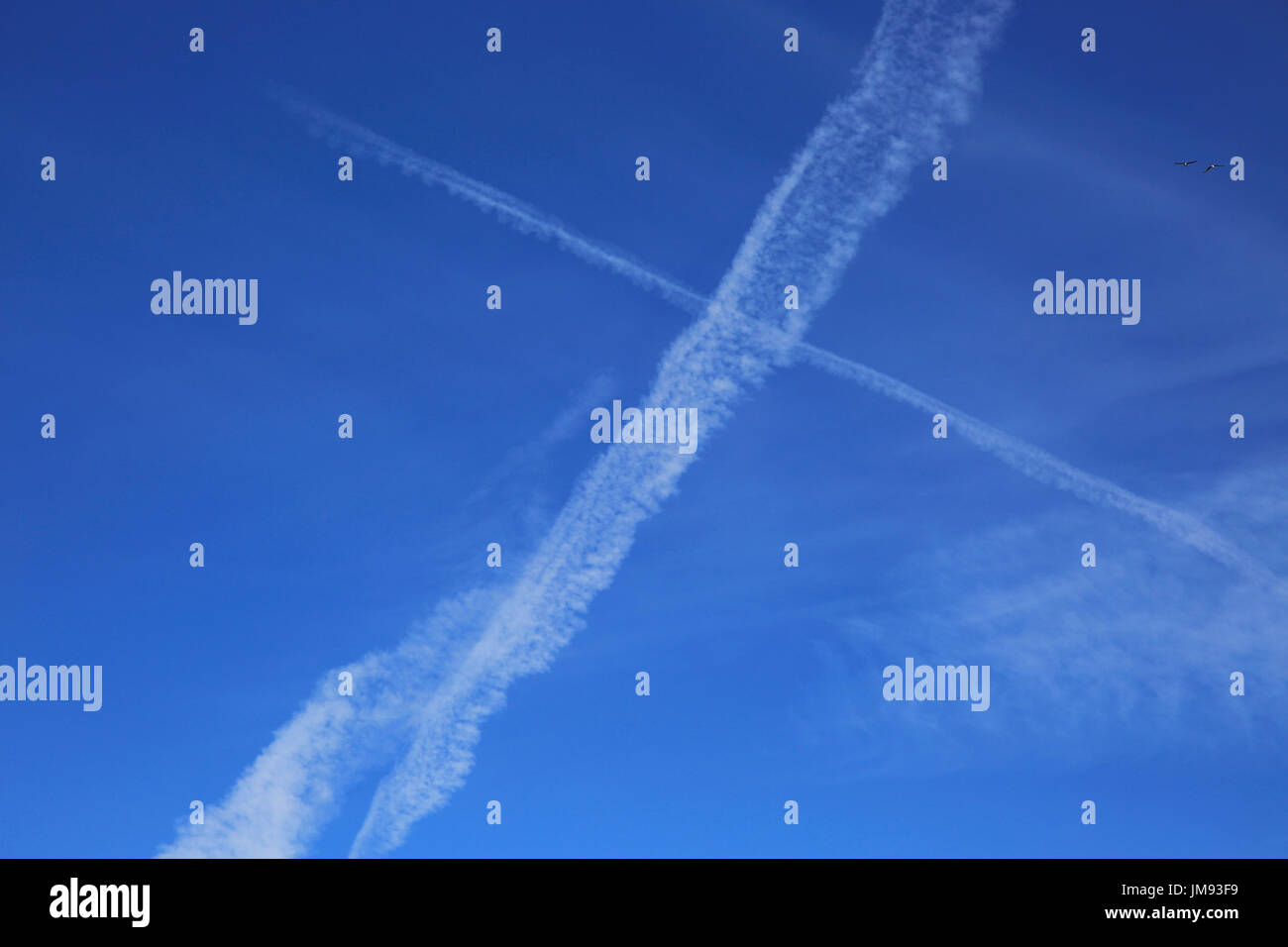 Contrails of airplanes outlined in clear blue sky over Suffolk, England, UK Stock Photo