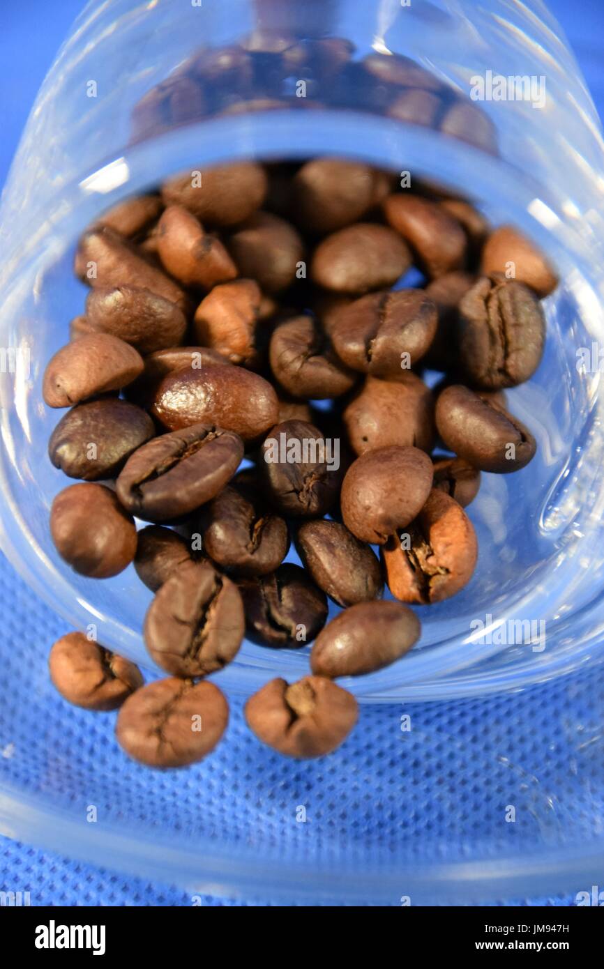 Espresso in a glass cup with coffee beans Stock Photo