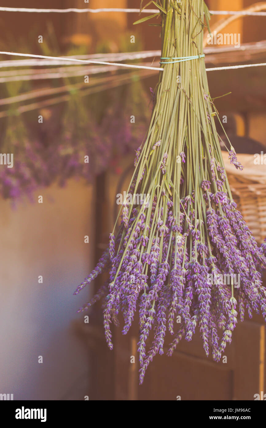 Drying traditional lavender bouquets Stock Photo Alamy