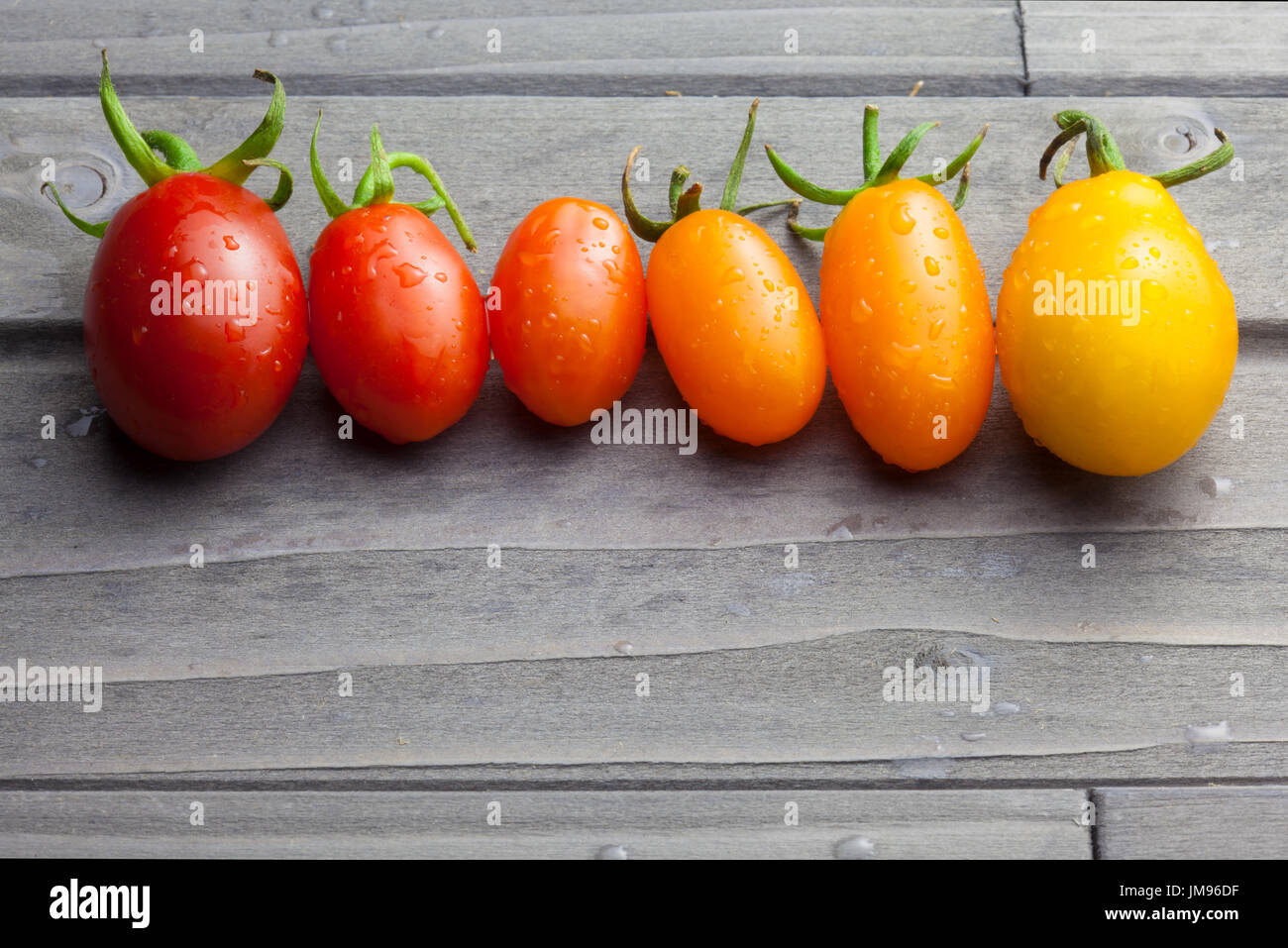 Cherry tomatoes in a row for color nuance on wooden background. Stock Photo