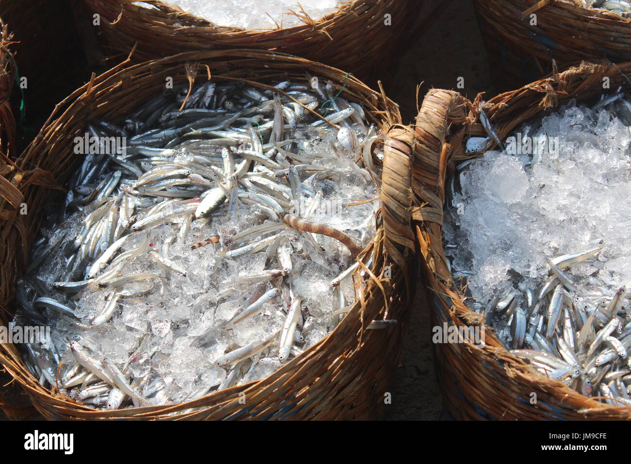 Fishes in bamboo baskets with ice at Mui Ne beach Stock Photo - Alamy