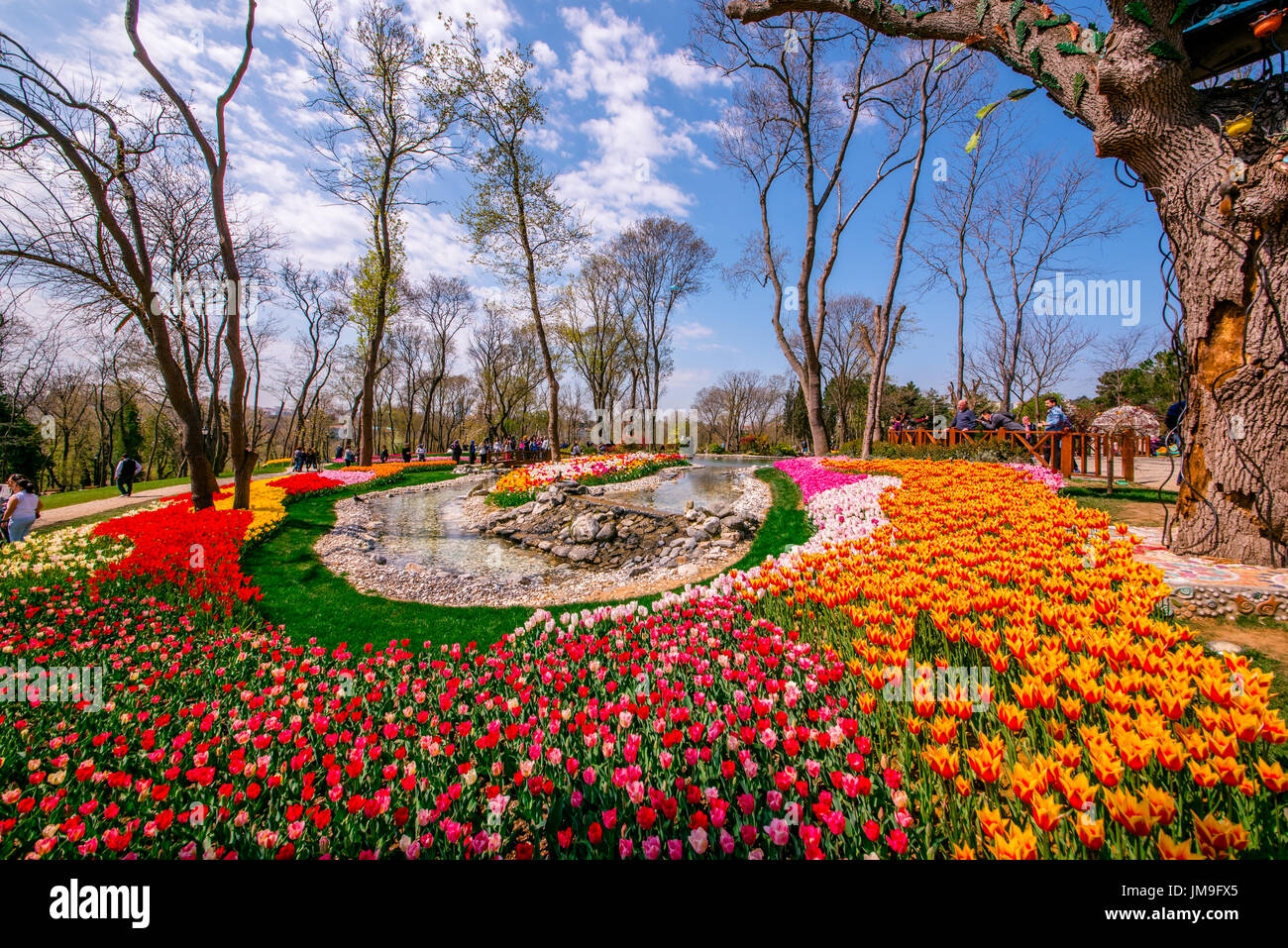 Traditional Tulip Festival in Emirgan Park, a historical urban park