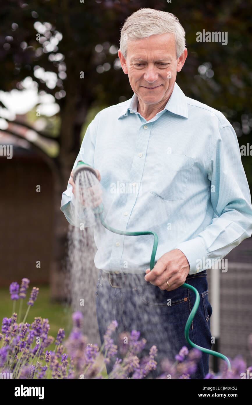 Senior Man Watering Flowers In Garden With Hose Stock Photo