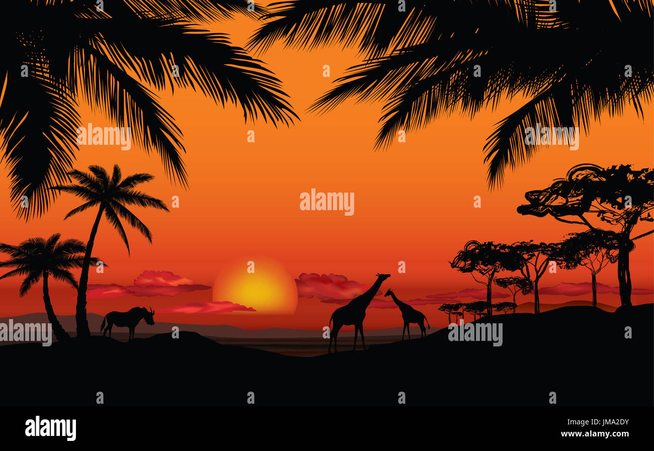 African landscape animal silhouette savanna hi-res stock photography ...