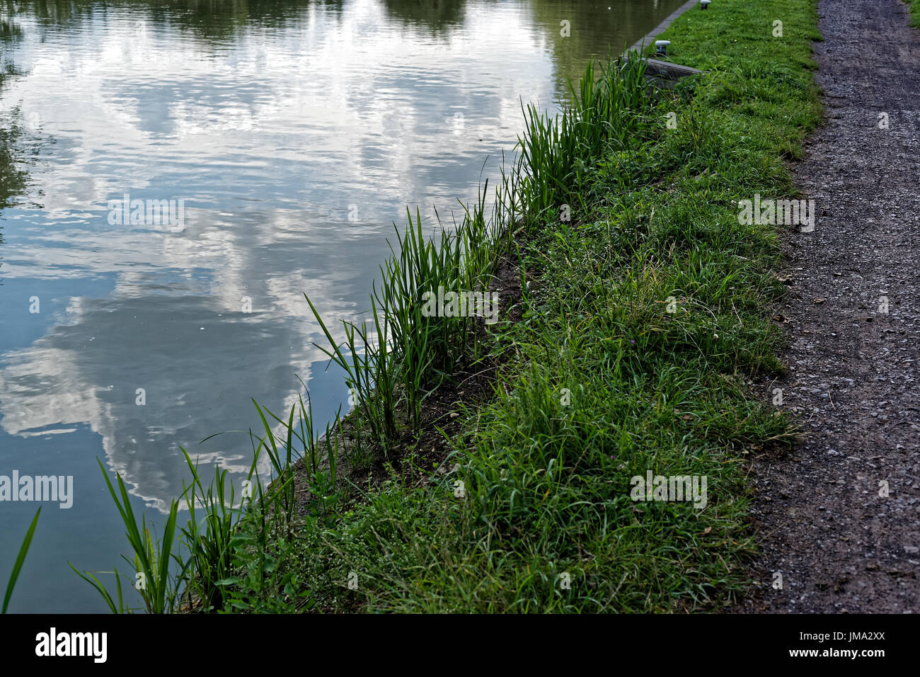 Canal side replanted to strengthen the banks Stock Photo
