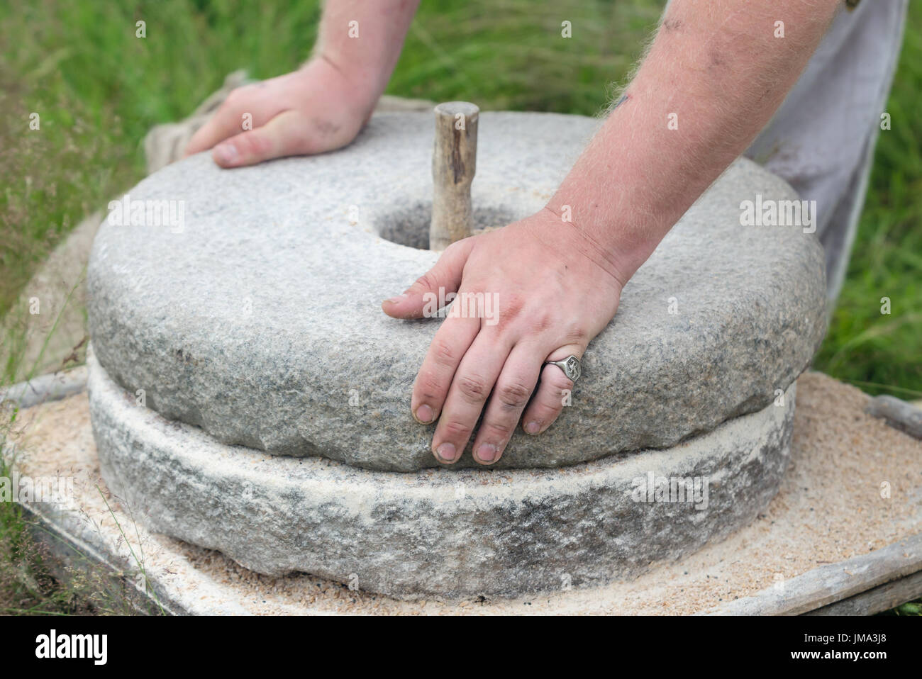 The ancient Quern stone hand mill with grain. The man grinds the grain into flour with the help of a millstone. Men's hands on a millstone. Old grindi Stock Photo