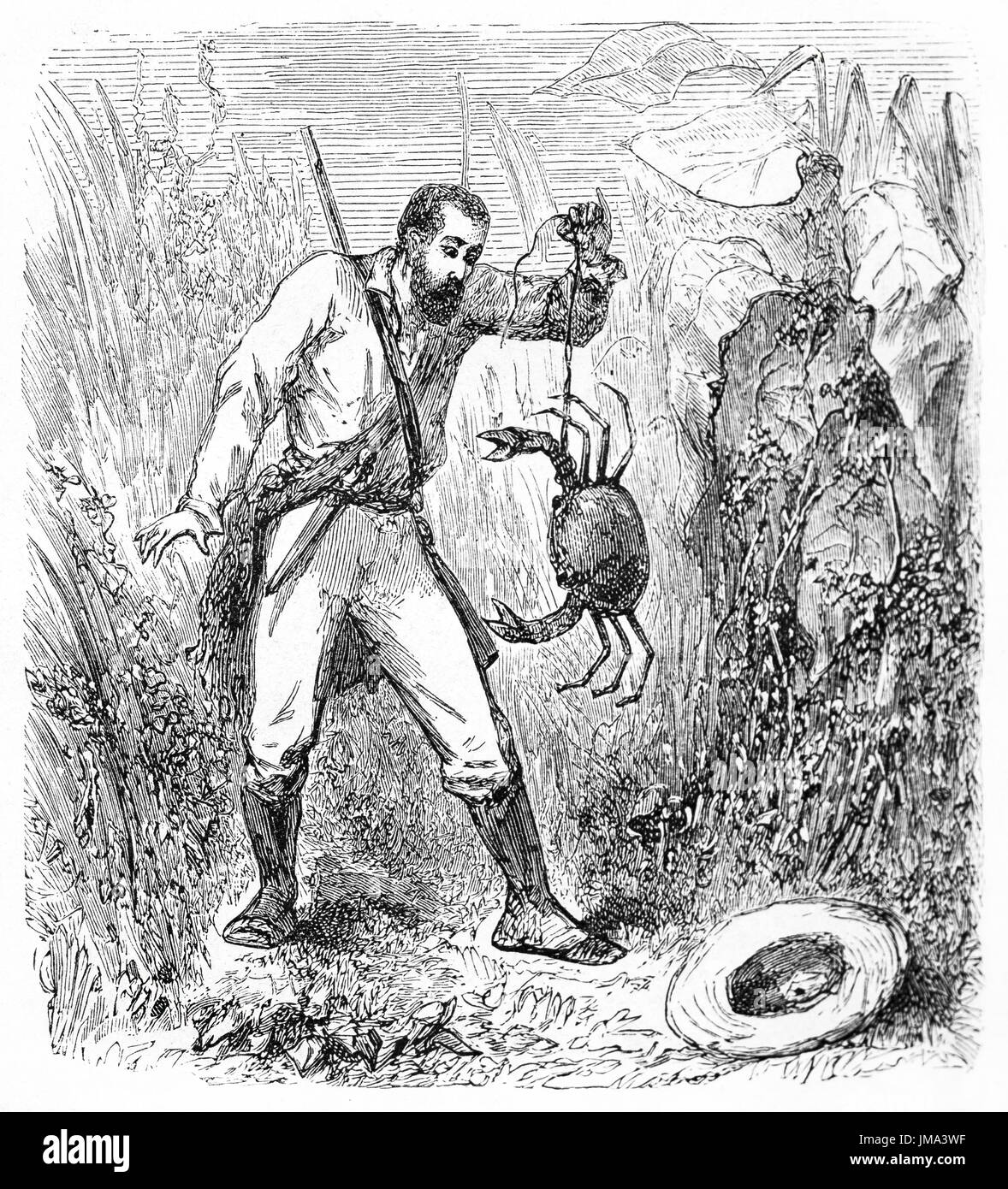 Amazed explorer in Brazilian rainforest holding a big crab using a string. Ancient grey tone etching style art by Riou and laly, Le Tour du Monde,1861 Stock Photo