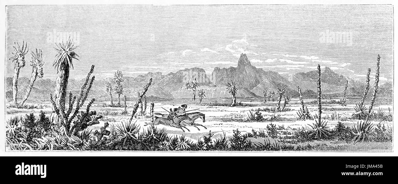 Two horseback people running in horizontal direction on a flat warm desertic landscape with fat plants, Picacho del Mimbres, Mexico. Art by Rordé 1861 Stock Photo