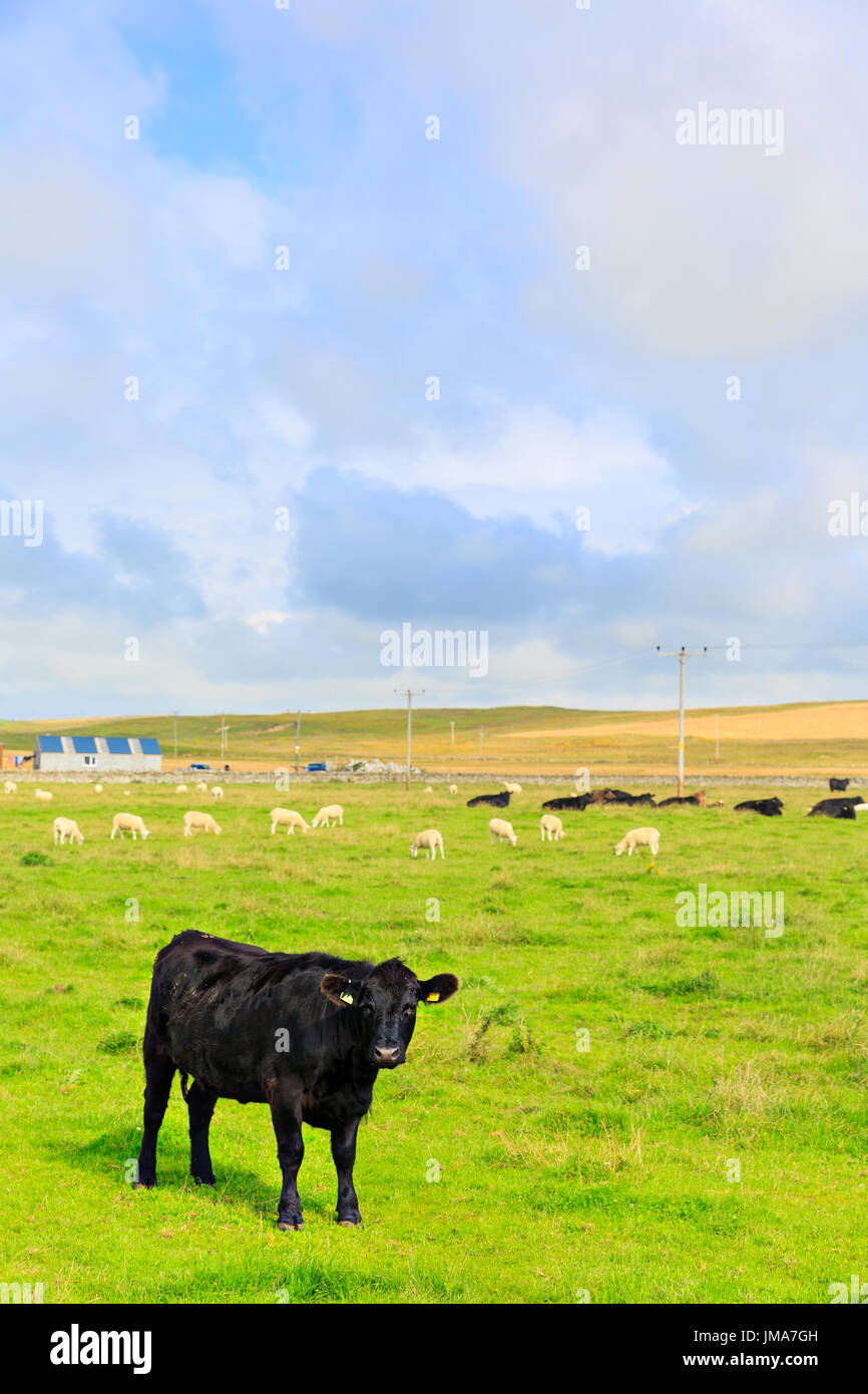 Bay Of Skaill, Orkney Mainland, Scotland, United Kingdom Stock Photo