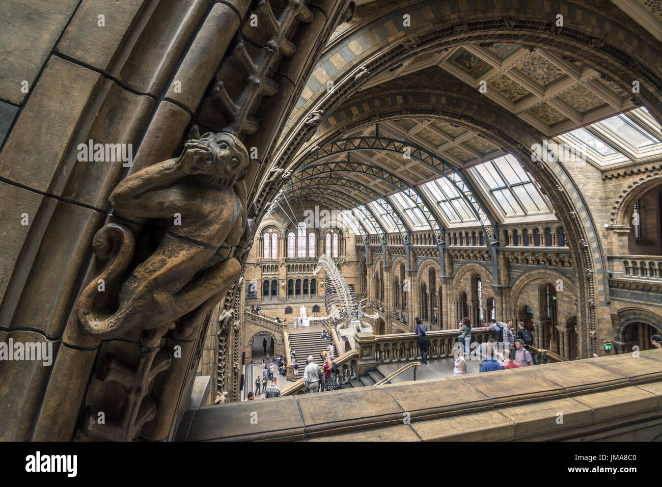 London, UK - July 25, People visiting the new Hintze hall in the Natural History Museum featuring a blue whale skeleton Stock Photo