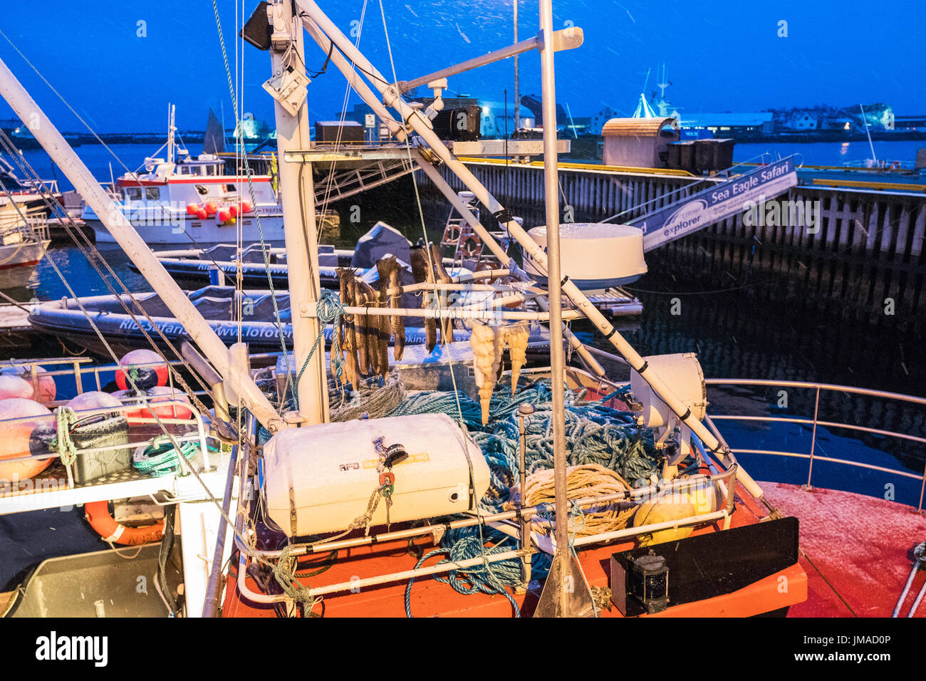 Stockfish drying on a fishing boat berthed at Svolvær, Lofoten Islands, Nordland County, Norway. Stock Photo