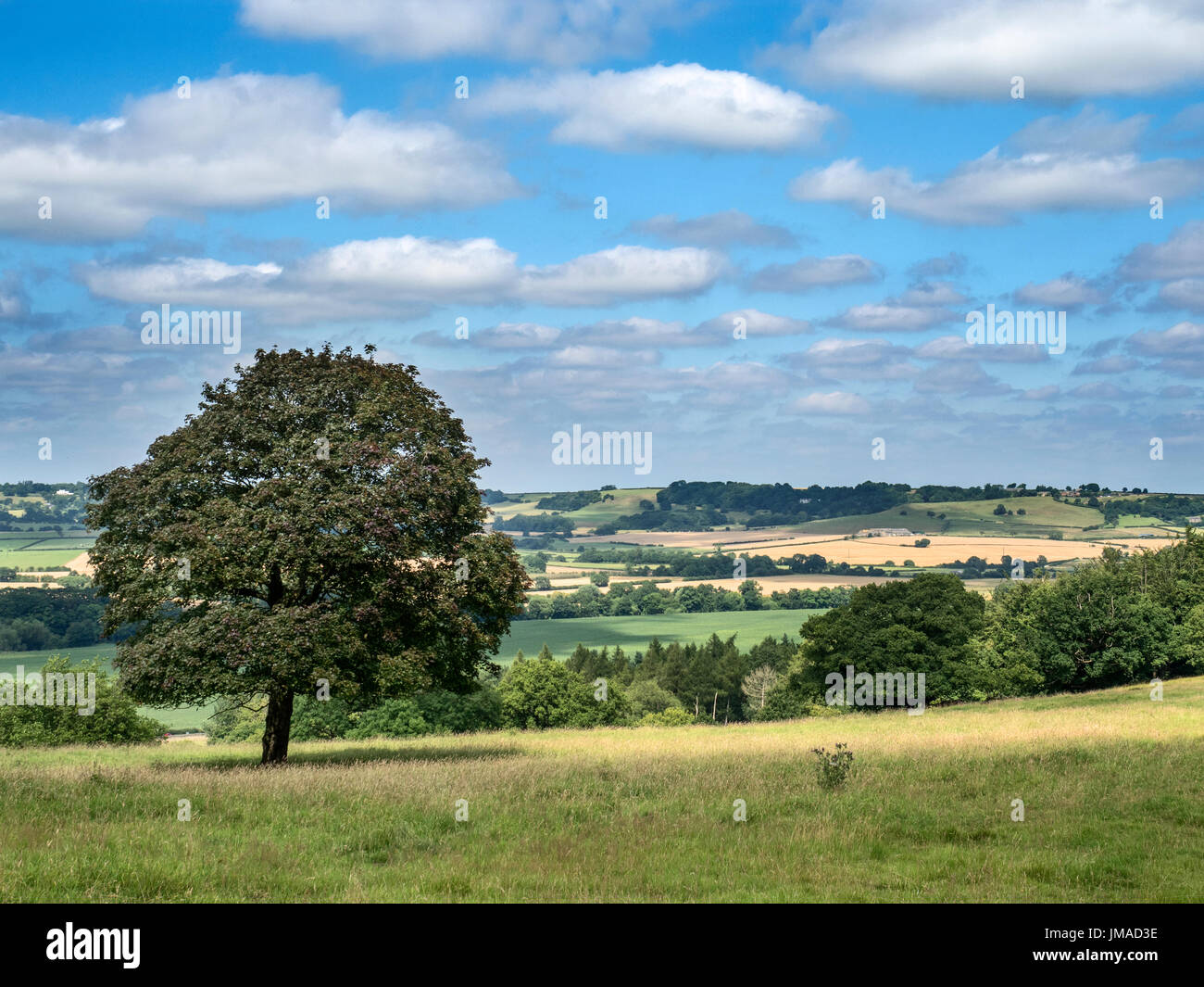 View Over the Wharfe Valley from the Ebor Way Footpath at North Park Harewood West Yorkshire England Stock Photo